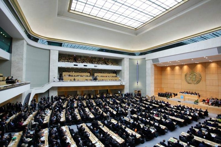 Ouverture de la 66è Assemblée mondiale de la santé - ảnh 1